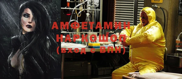 ПСИЛОЦИБИНОВЫЕ ГРИБЫ Осинники