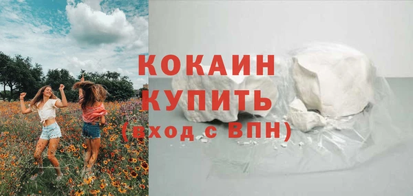 ПСИЛОЦИБИНОВЫЕ ГРИБЫ Осинники